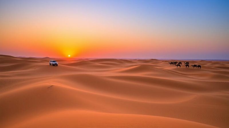 Wahiba Sands – Desert Thrills