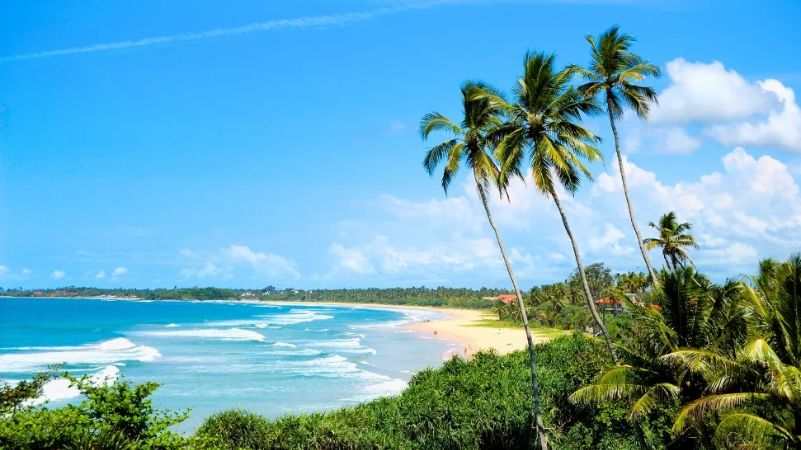 Beach Day (Mirissa or Unawatuna)