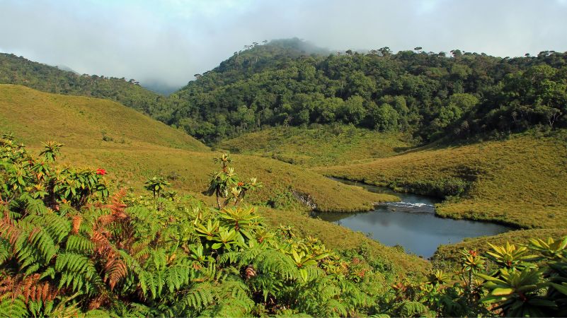 Horton Plains & World’s End