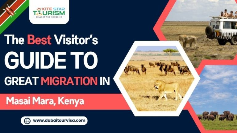 Best Visitor Guide to Great Migration in Masai Mara, Kenya