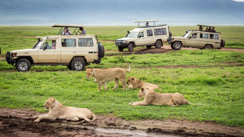 Why the Great Migration