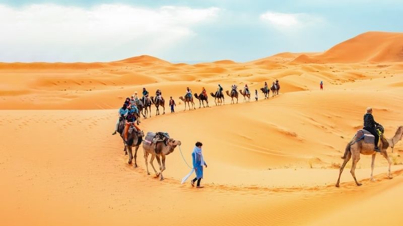 Camel Ride