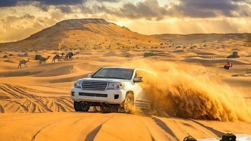 Dune Bashing